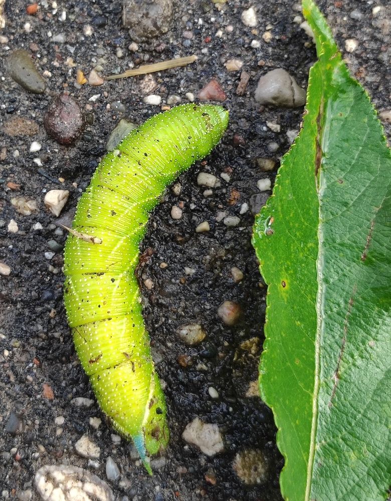 Photograph by Марина Артемьева