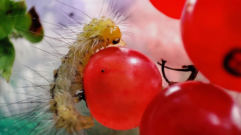 Photograph by Марина Артемьева