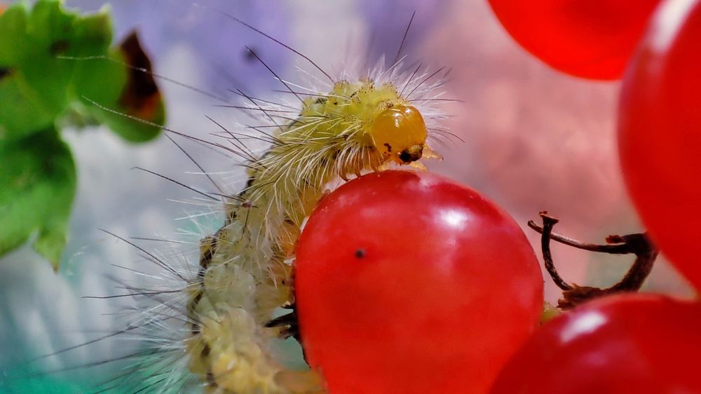 Photograph by Марина Артемьева