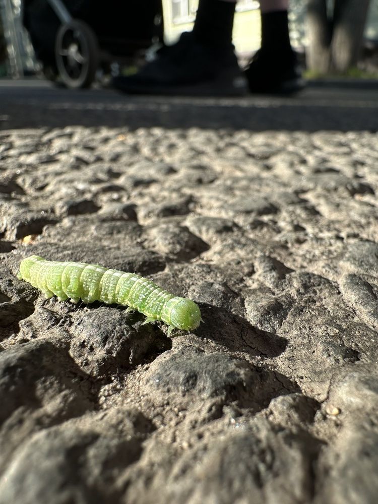 Photograph by Екатерина Корчагина