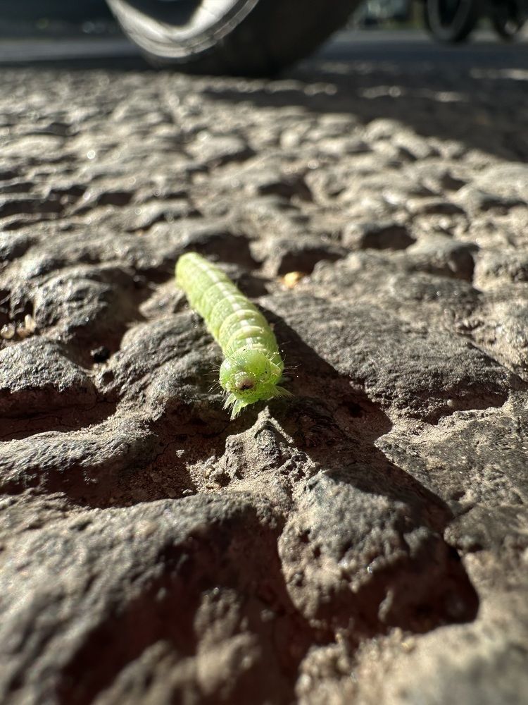 Photograph by Екатерина Корчагина