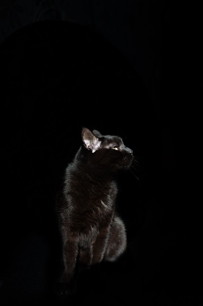 Photograph by Шахова Марина