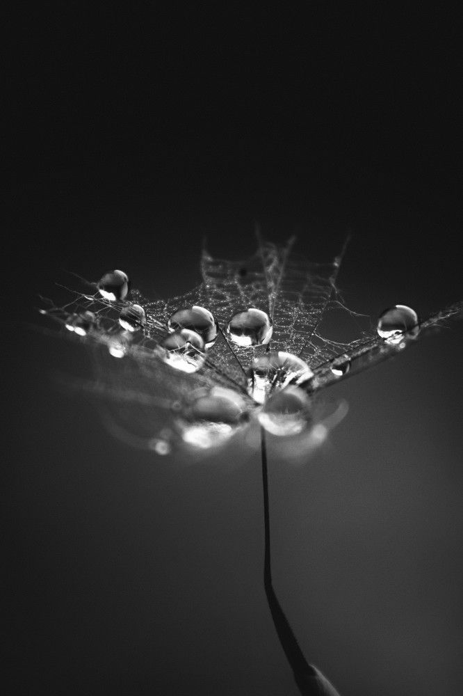 Photograph by Татьяна Максакова