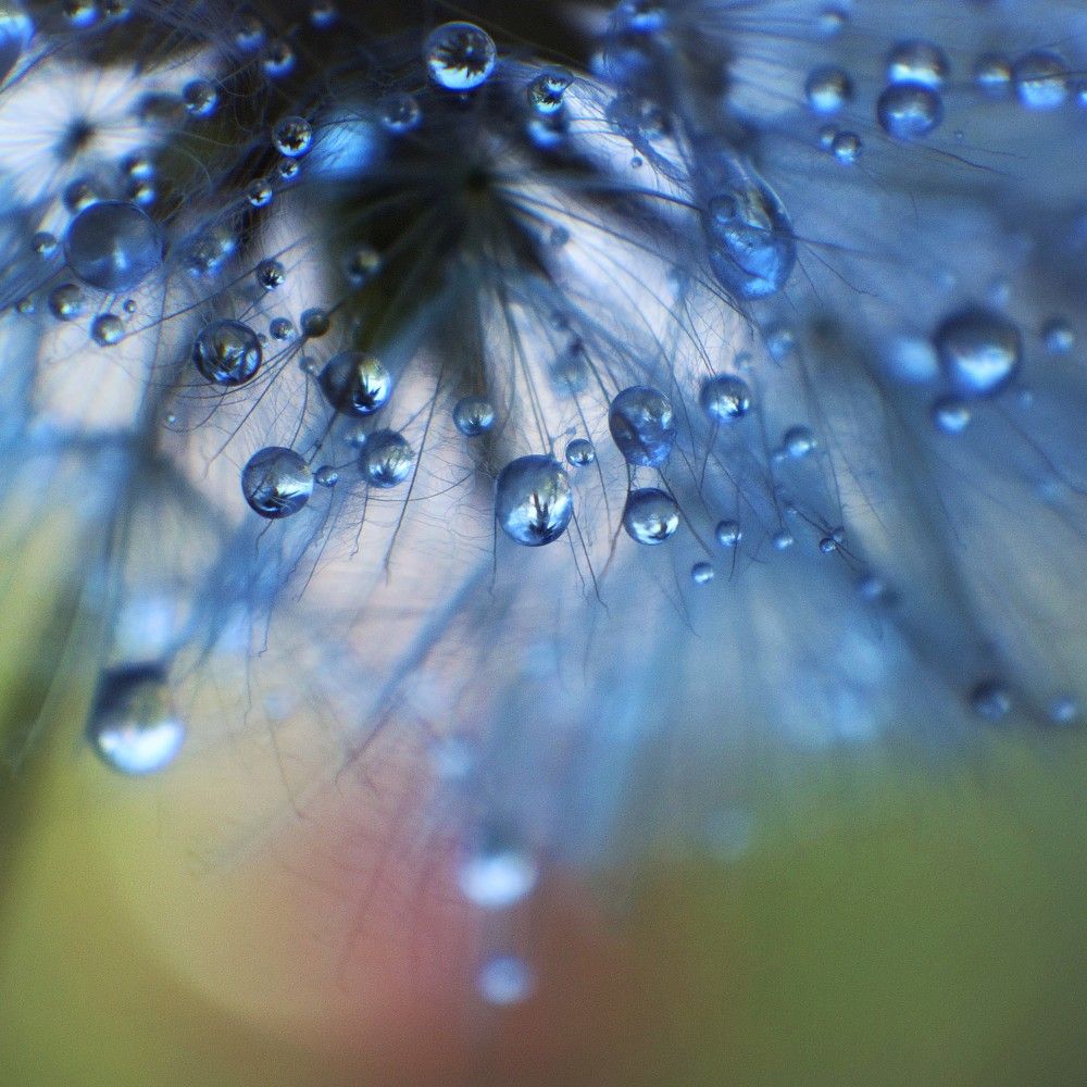 Photograph by Татьяна Максакова