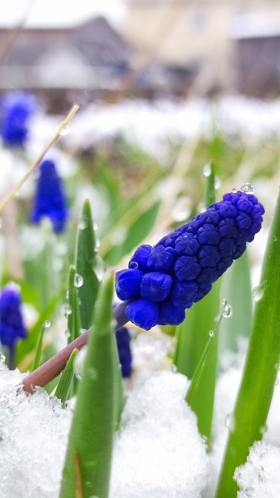 Photograph by Марина Артемьева