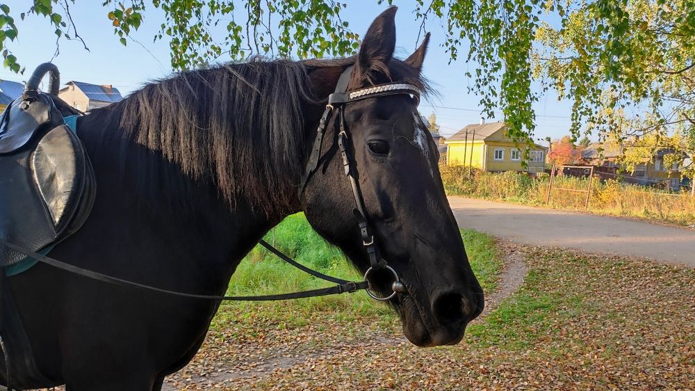 Photograph by Марина Артемьева