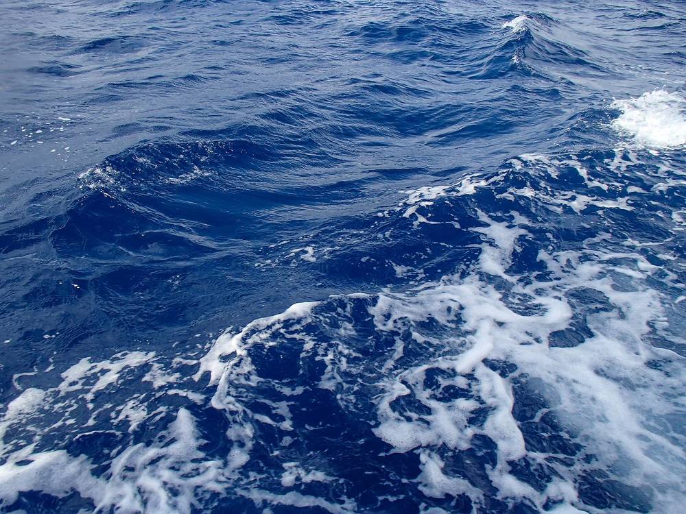 Photograph by Евгений Гонтов