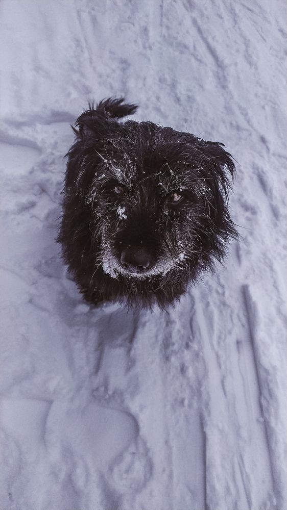 Фотография автора Юлия Гантимурова