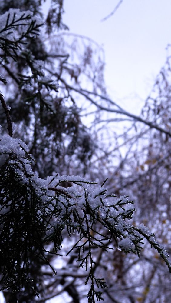 Photograph by Ансар