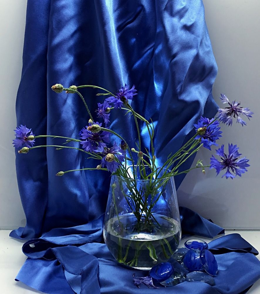 Photograph by Галина Пименова