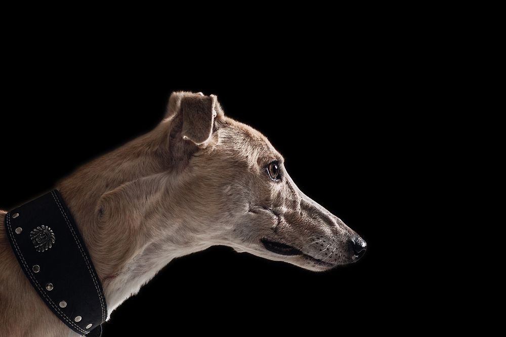 Photograph by Татьяна Степанова