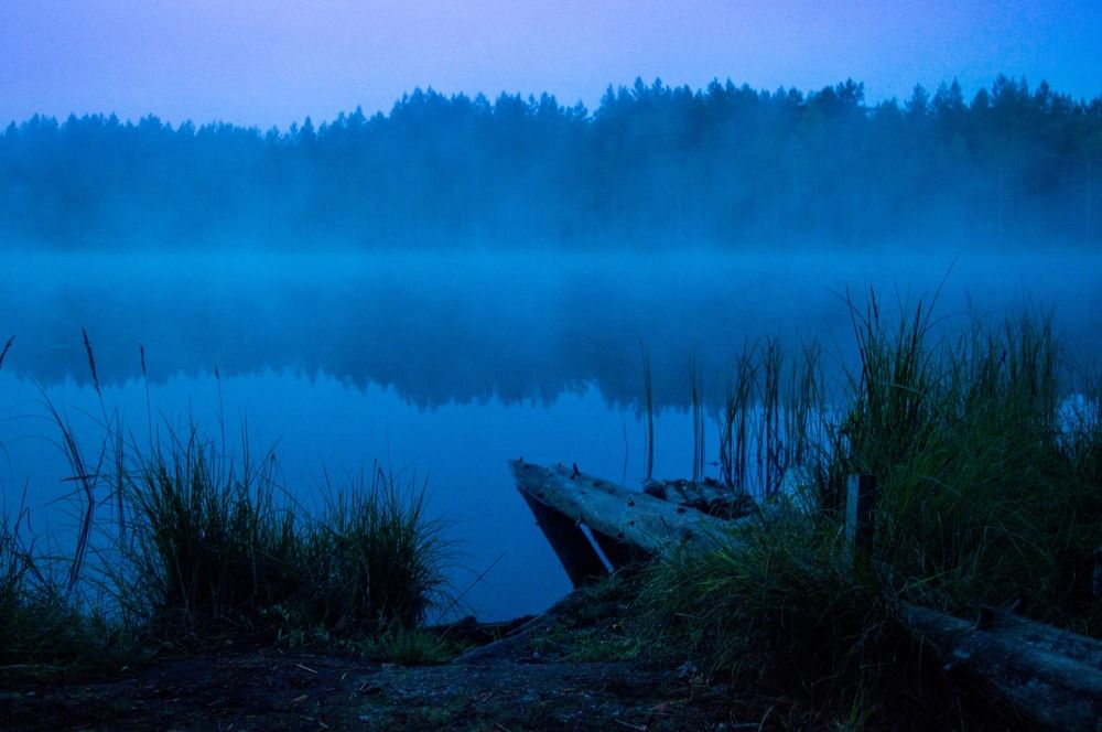 Photograph by Анастасия