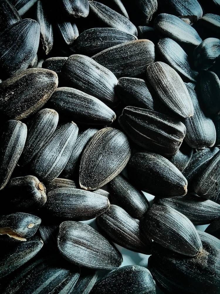 Photograph by Anna Grinkevich