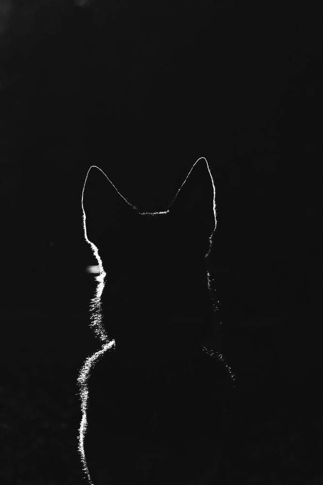 Photograph by Татьяна Степанова