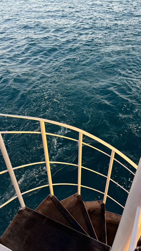 Photograph by Елена Гущина