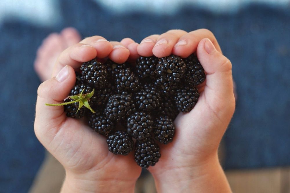 Фотография автора Екатерина Карасева