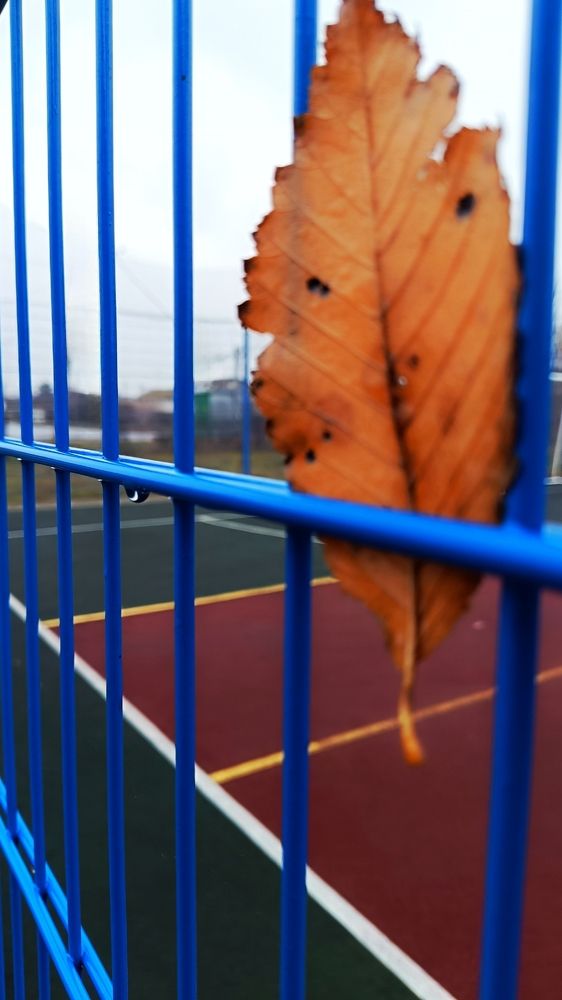 Фотография автора Светлана Анатольевна Чернышова