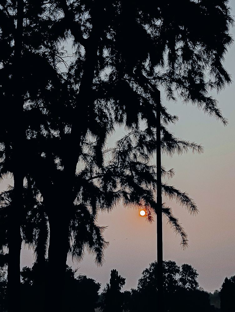 Photograph by Ayush Sah