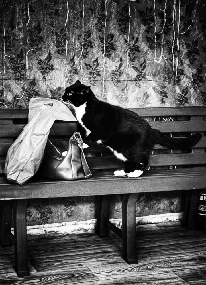 Photograph by Екатерина Козлова