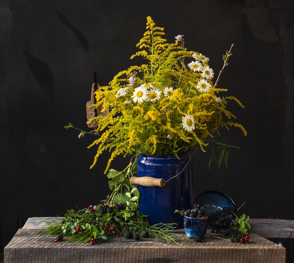 Фотография автора Екатерина Карасева