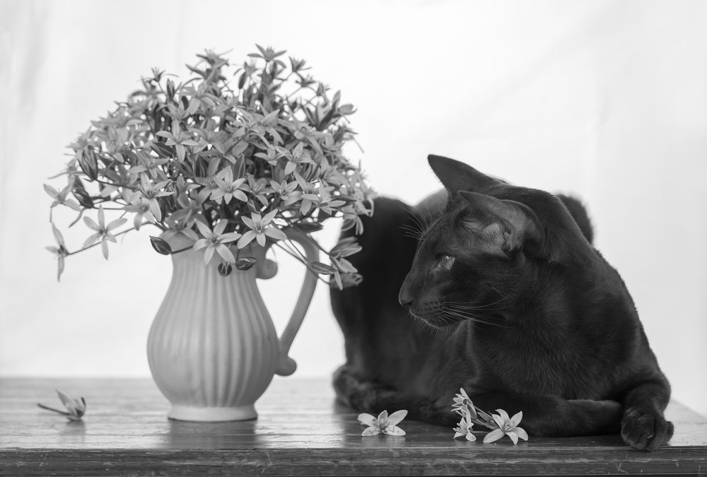 Photograph by Татьяна Феденкова