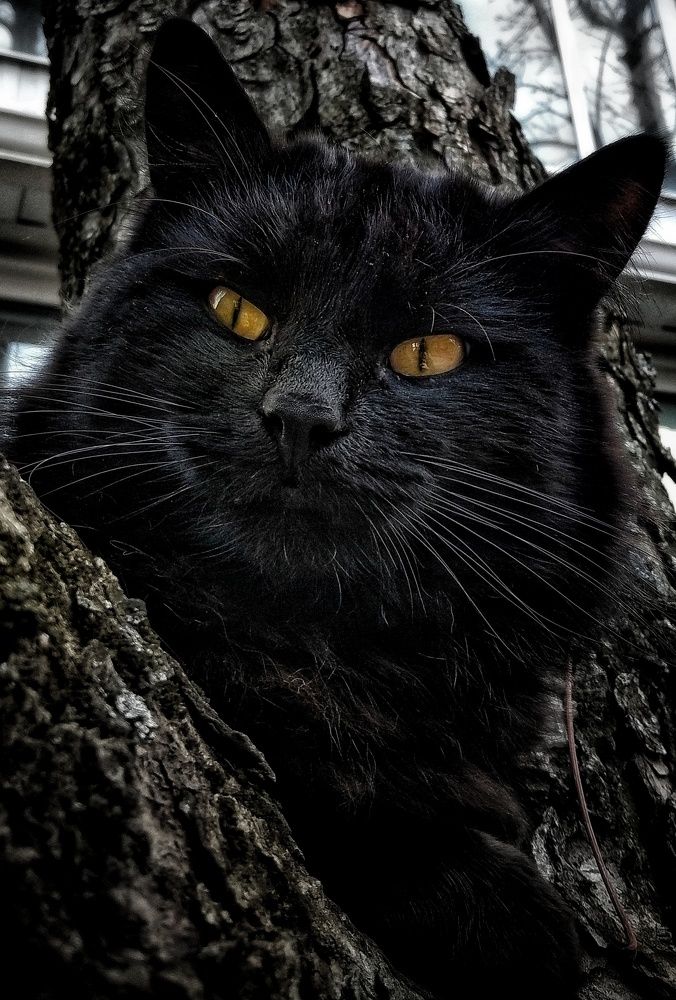 Photograph by Светлана Безъязычная