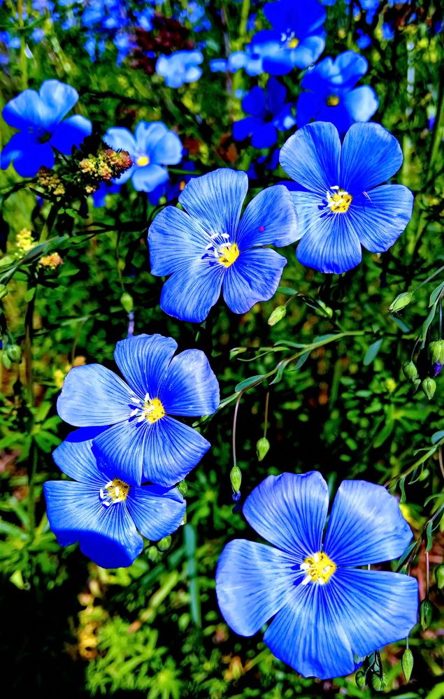 Photograph by НИНА АВЕРЬЯНОВА