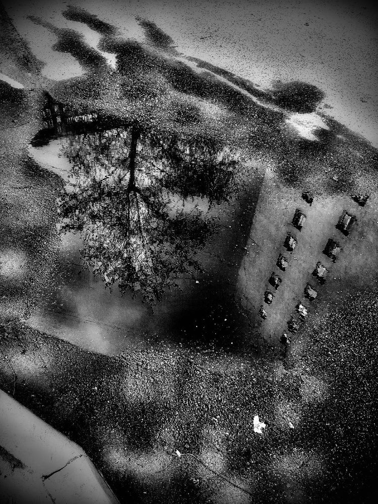 Photograph by Аркадий Коновалов