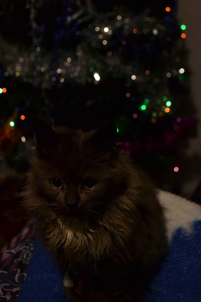 Photograph by Надежда Чаплынская