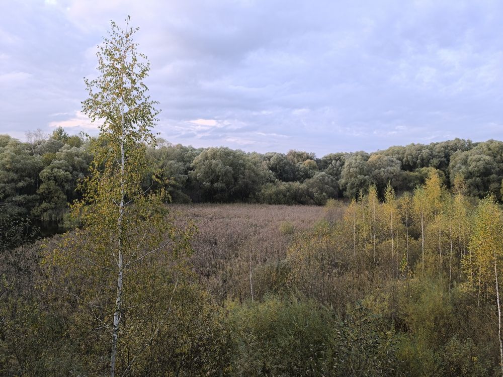 Photo #11322399