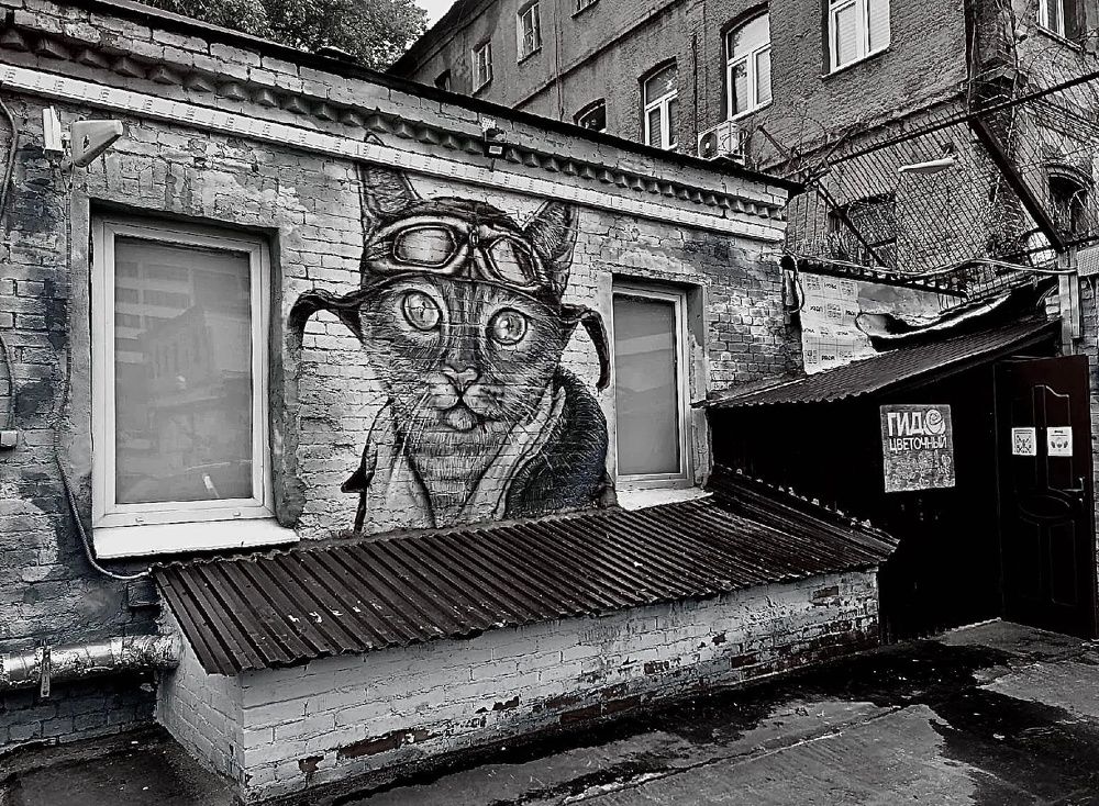 Современное искусство