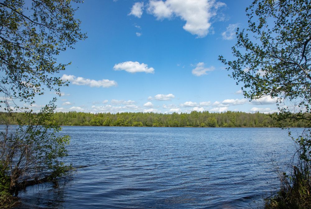 Фотография автора Екатерина Счасная