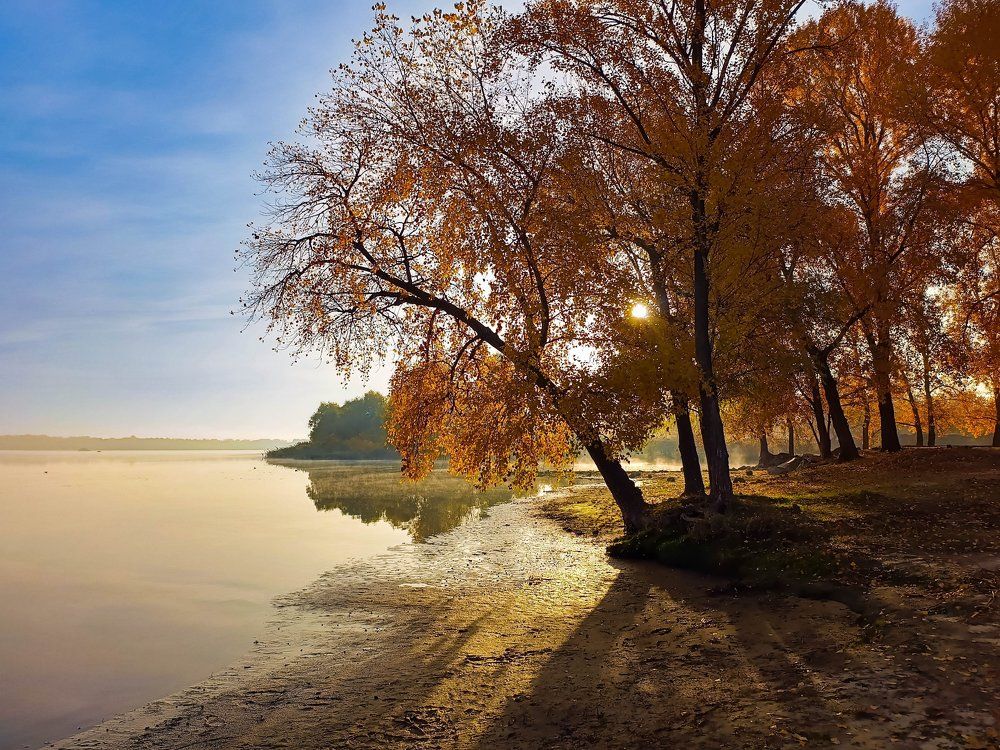 Photograph by Талисман Виталий