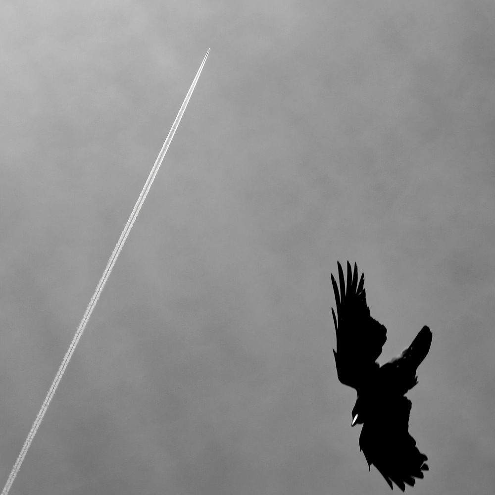 Photograph by Аля Фриссон