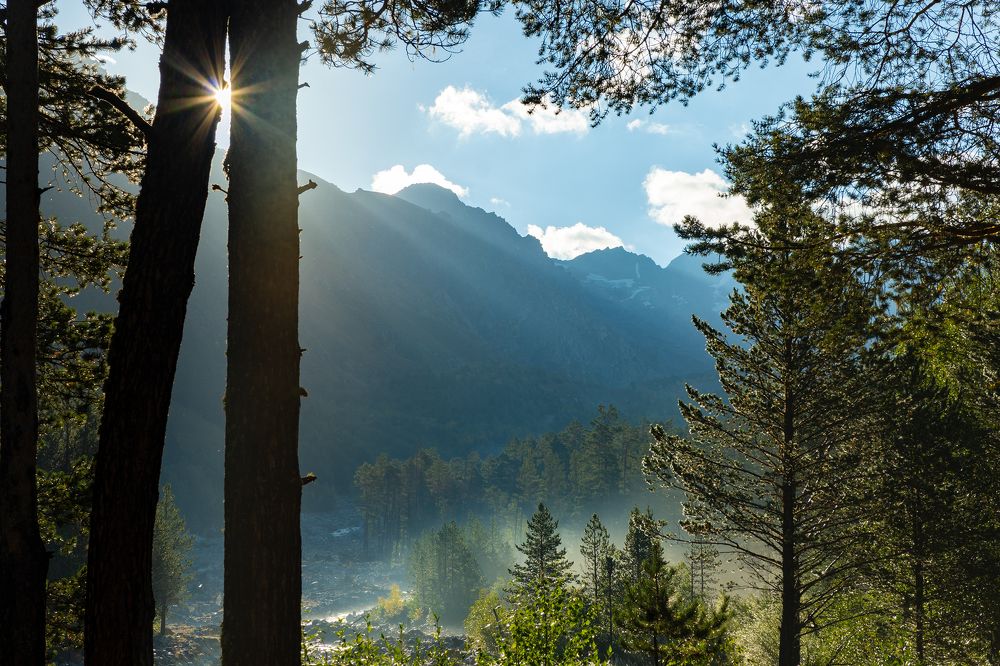 Первые лучи солнца