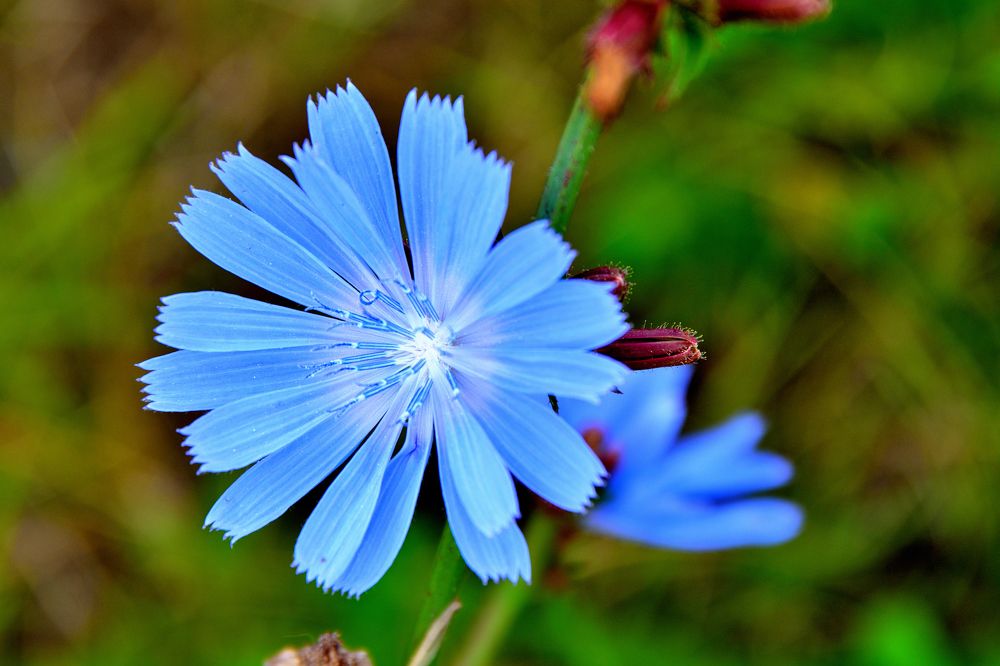 Photograph by Александр Зуев