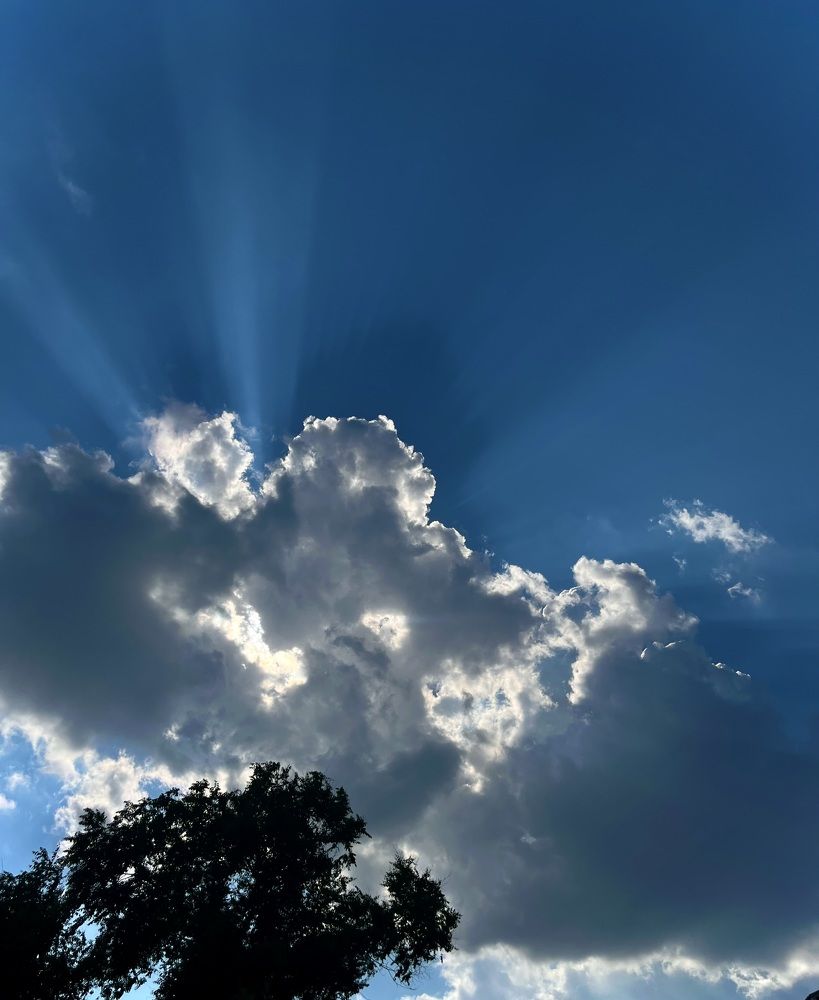 Photograph by Кристина Лацвеева