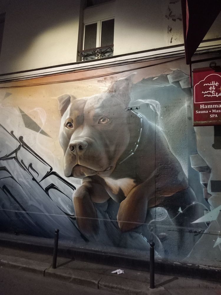 Фотография автора Елена Чернова