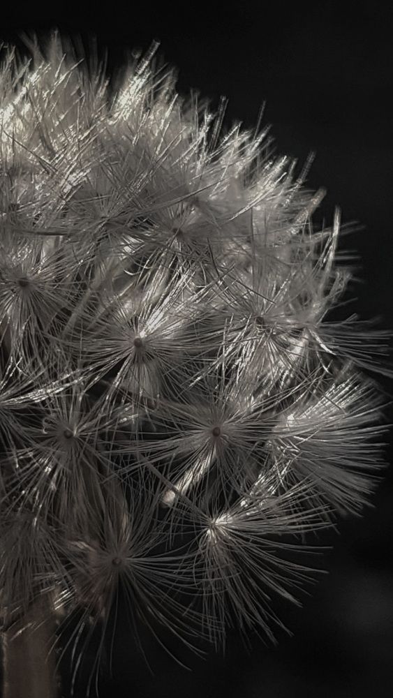 Photograph by Svitlana Usatenko