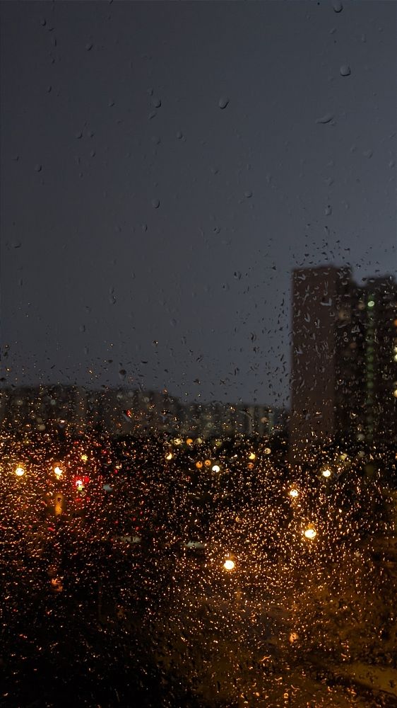 Фотография автора Васильева Ирина