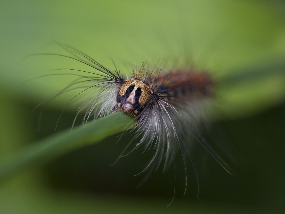 Photograph by Лена Максимкина