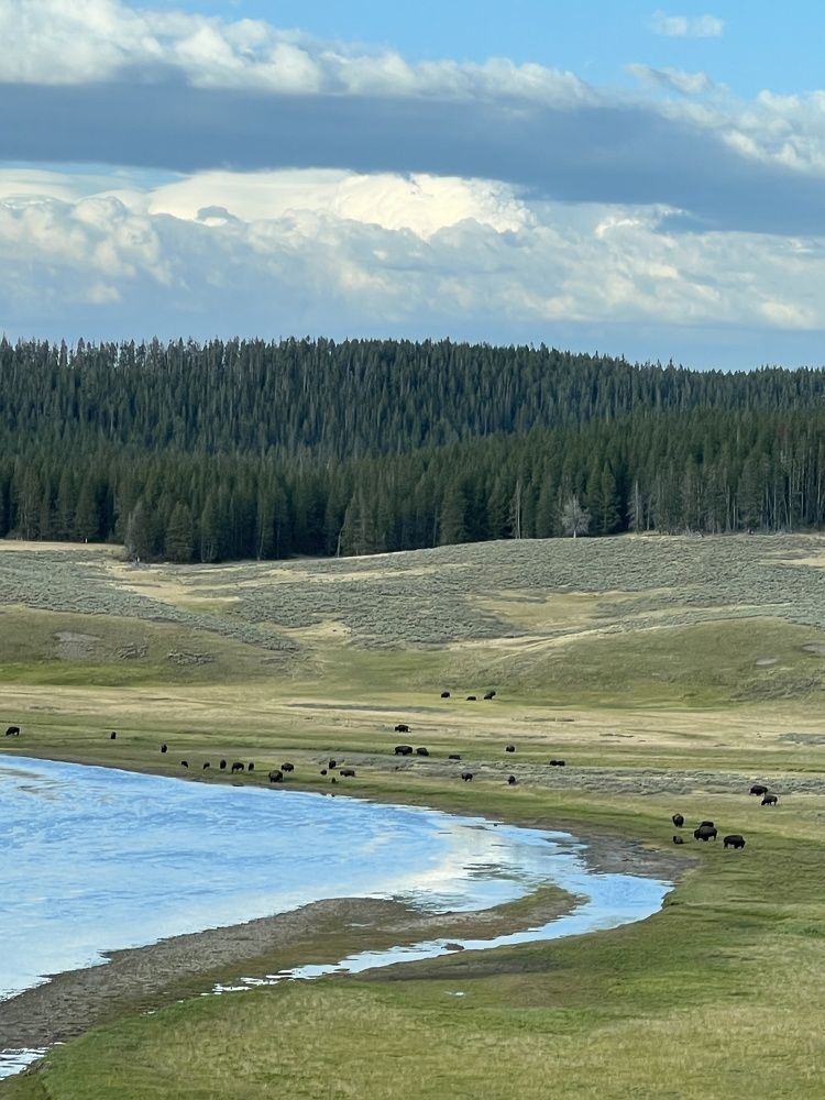 Фотография автора Diana