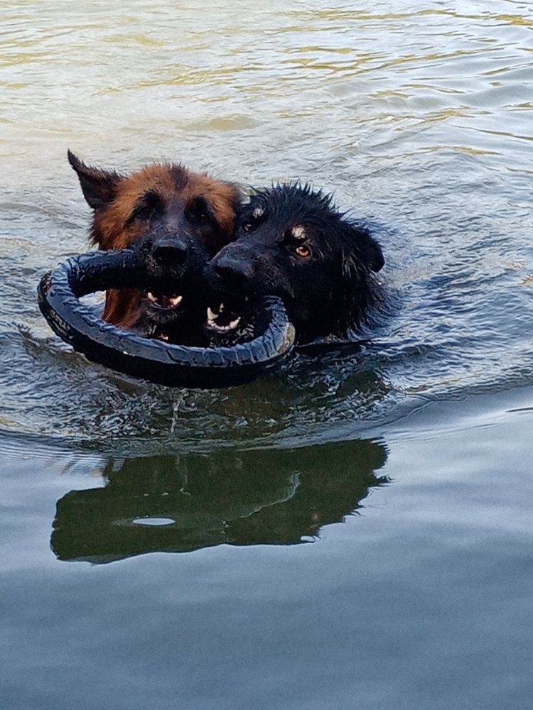 Photograph by Надежда Чаплынская