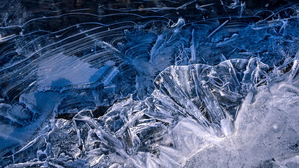 Photograph by Mark Devender