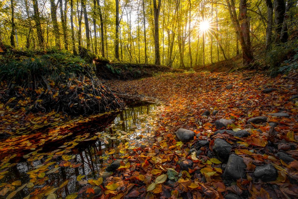 Photograph by Alexander Ornatskiy