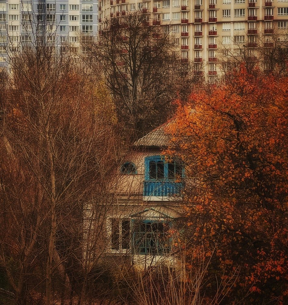 Photograph by Максим Светличный