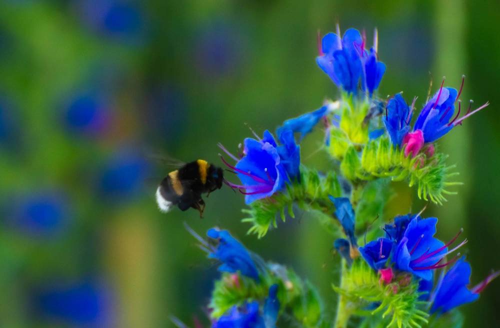 Фотография автора Aлексей Игнатьев