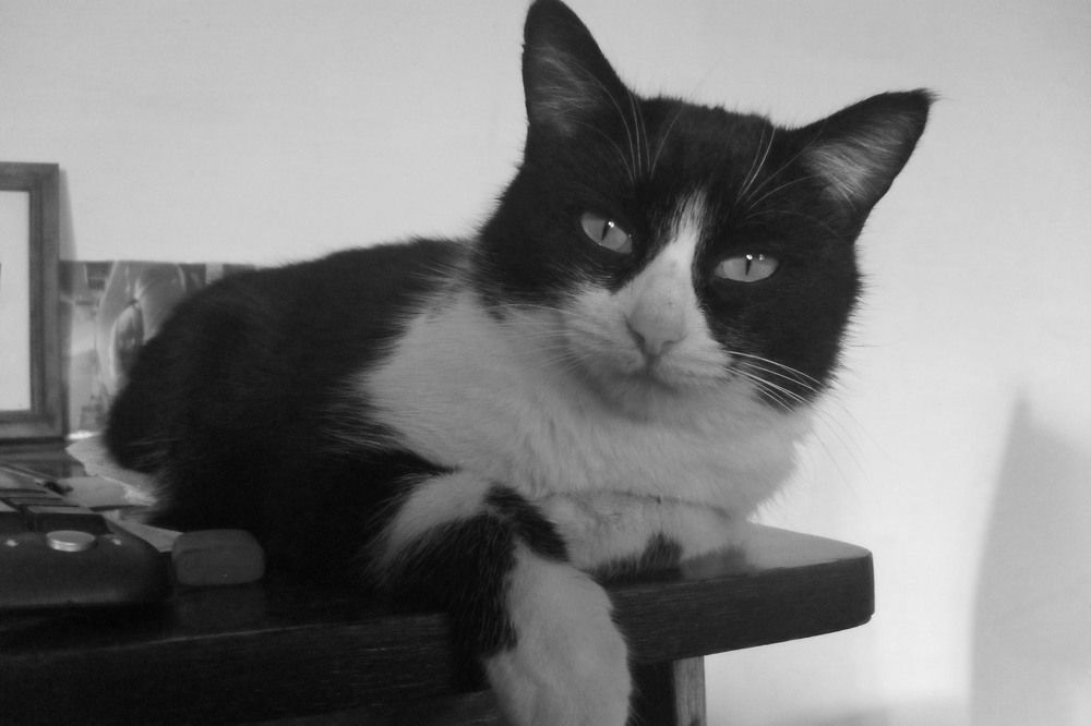 Photograph by Эдик Нуран