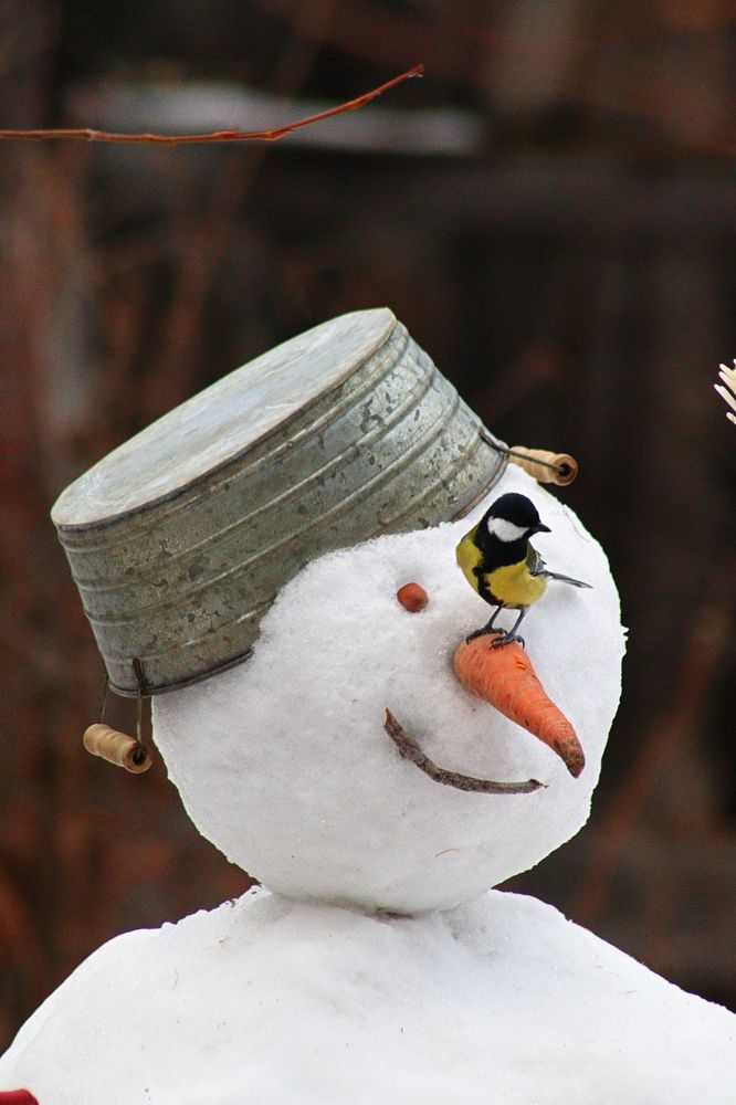 Photograph by Вероника Герасимова