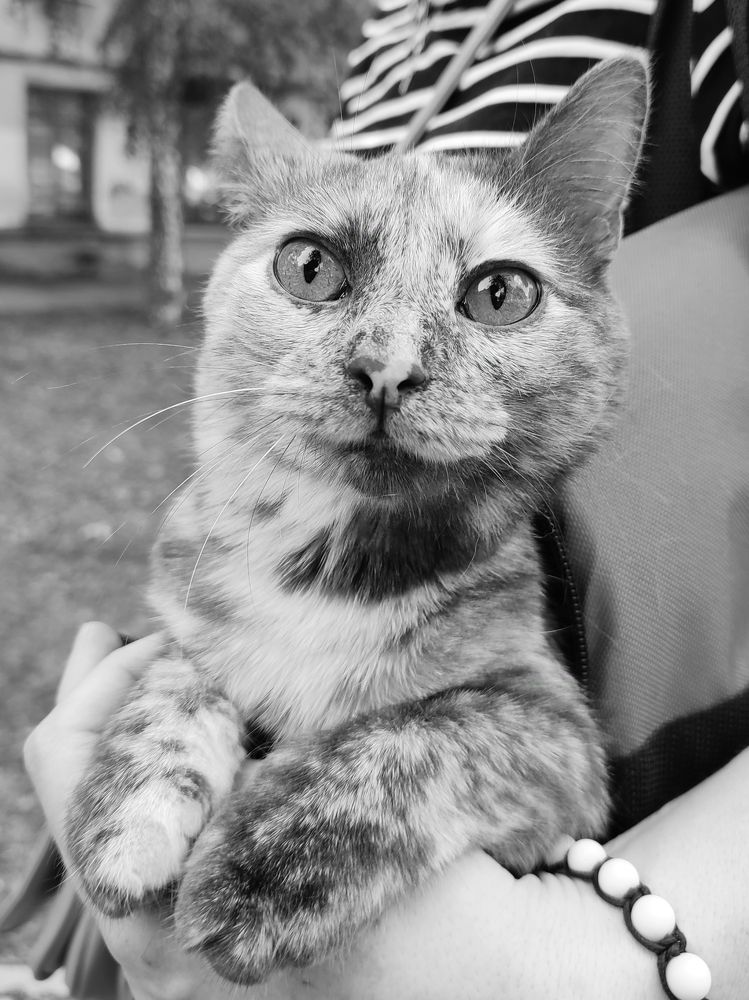 Photograph by Ирина Козлова